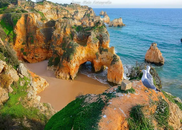 Marina-l Апартаменты *