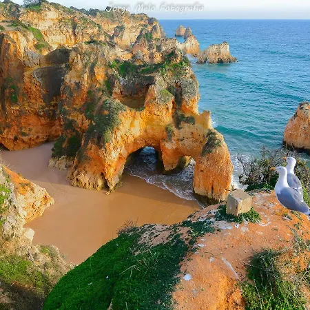 Marina-l Apartment *