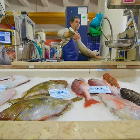 Marina-l Apartment *