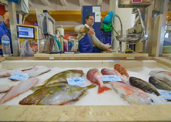 Marina-l Appartement *